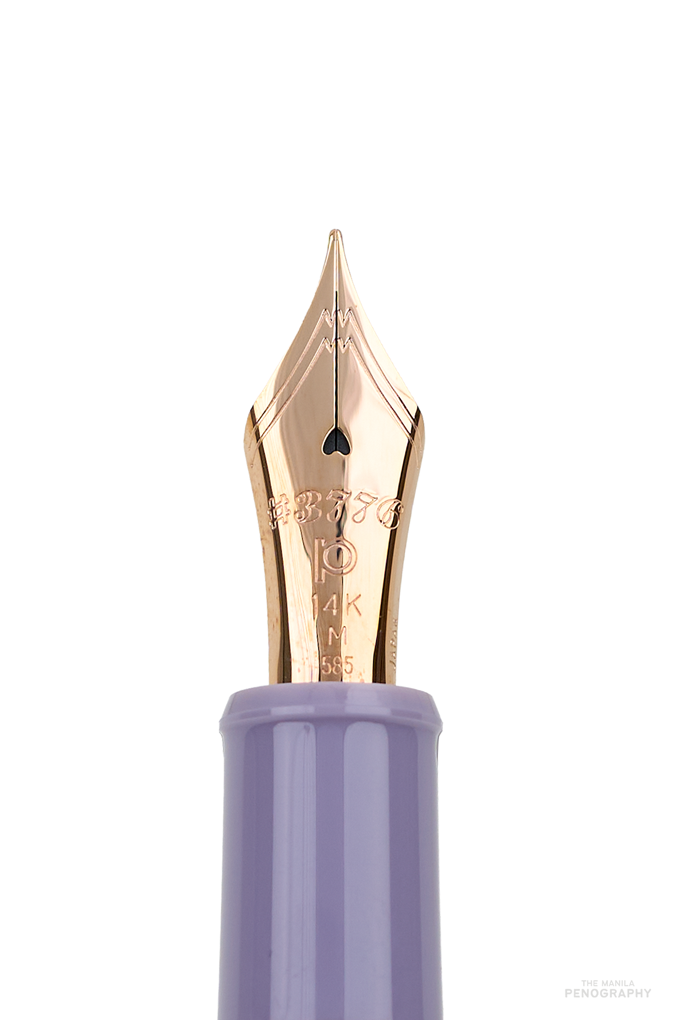 Platinum 3776 Century Misty Bloom