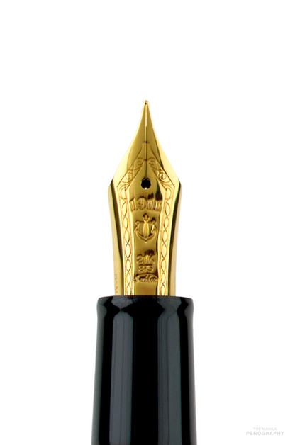 Sailor 1911L Black Gold Trim