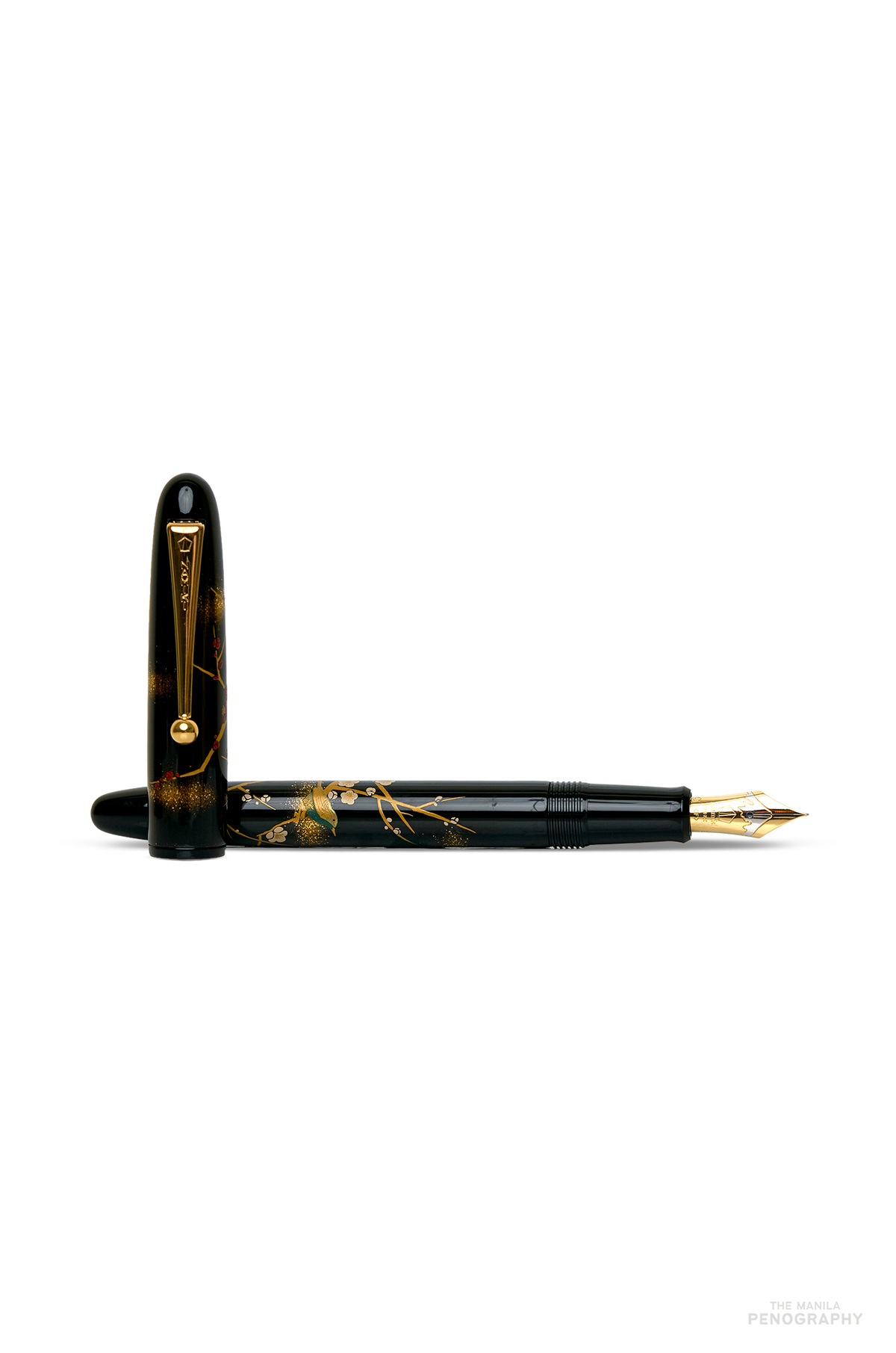 Namiki Yukari Apricot Tree and Warbler