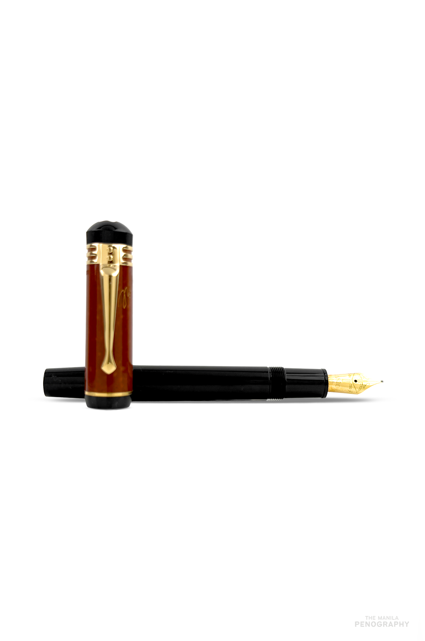 Montblanc Writers Edition Schiller